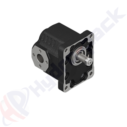K-A-EHASS-40-L Group 30 Cast Iron Pump
